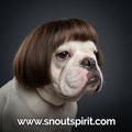 Toshomono Wig Cosplay Tool for Costumes
