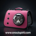 Foldable Cat Backpack with Breathable Mesh Design