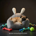 Universal Dog Bed with Washable Cushion for Pets