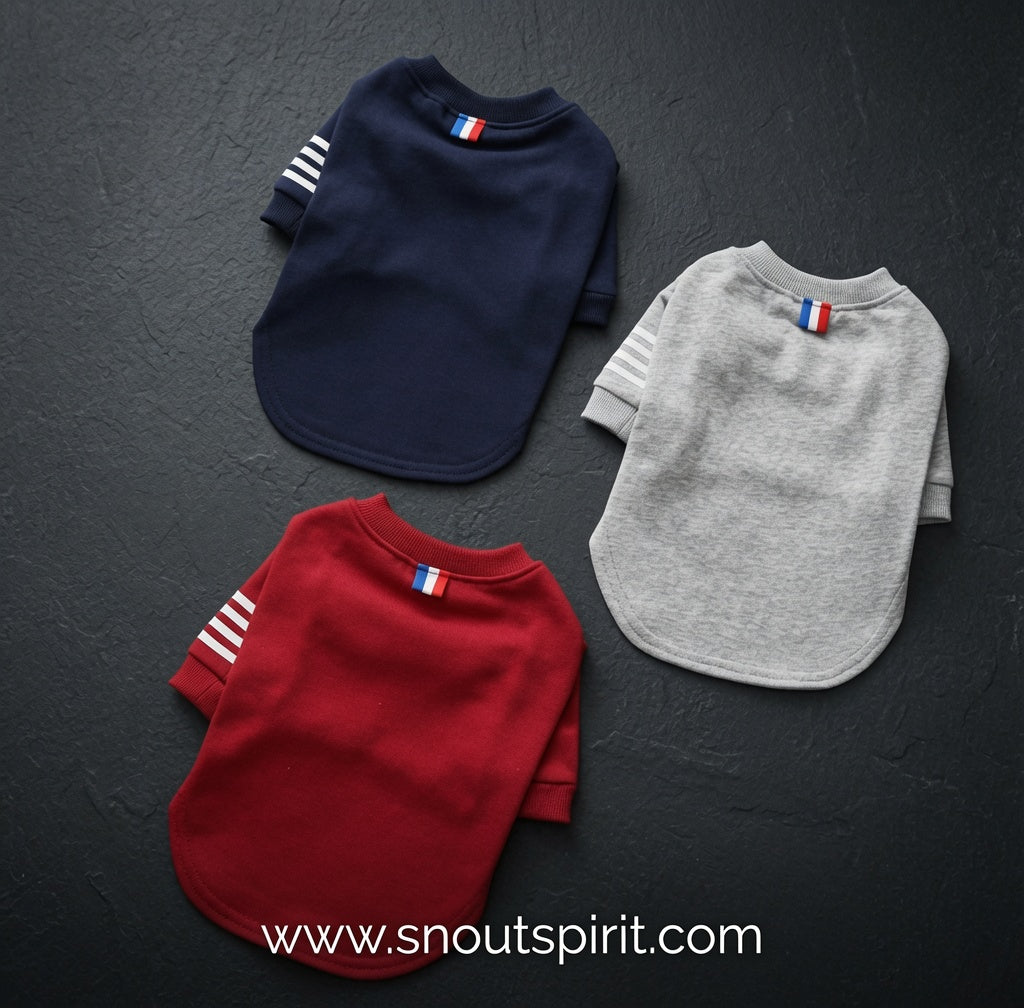 New Spring Autumn Dog Hoodies for Small Dogs