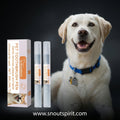 Gentle Pet Teeth Cleaning Pen for Dogs & Cats